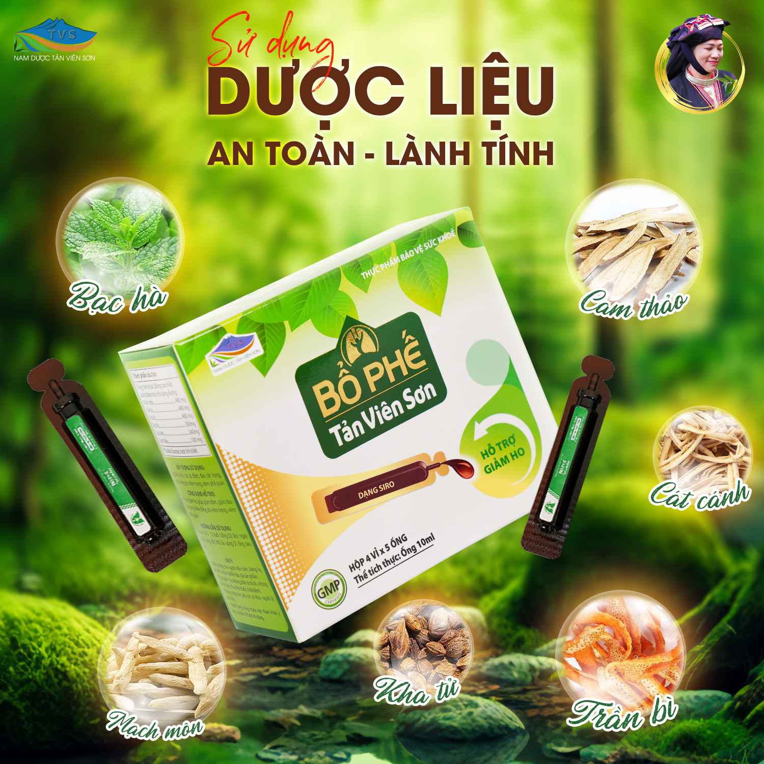 Bổ phế Tản Viên Sơn